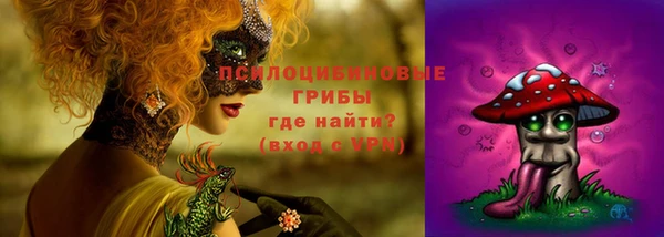 круглые Аркадак