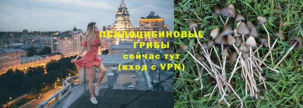гидра Армянск