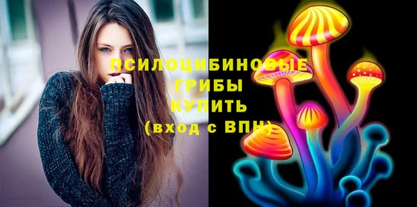 спиды Арсеньев