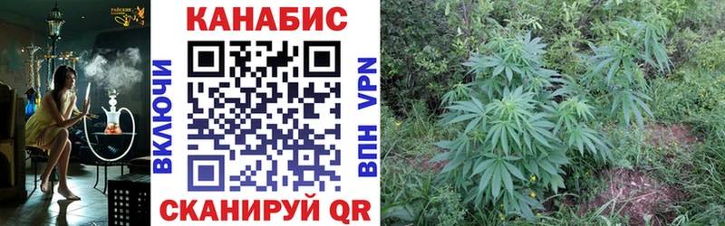 купить закладку Октябрьск OMG ссылки Марихуана SATIVA & INDICA